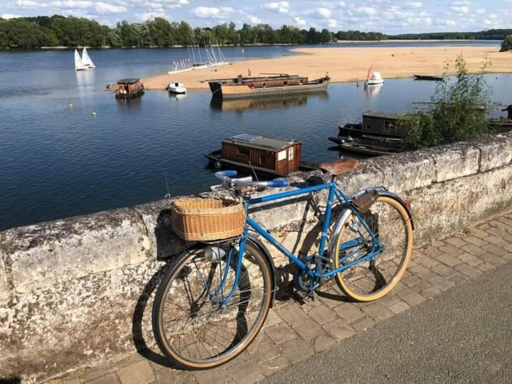 B&B Cote Loire Les Rosiers Extérieur photo